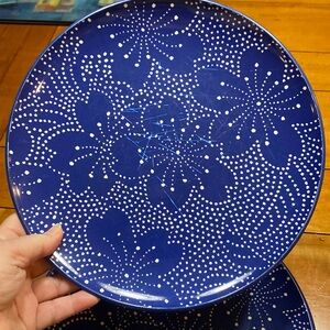 Set of 10 Melamine Blue w White Dinner Plates, 10.5”